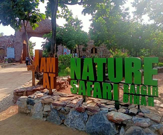 Wildlife Wonders: Rajgir Zoo Safari - inBihar